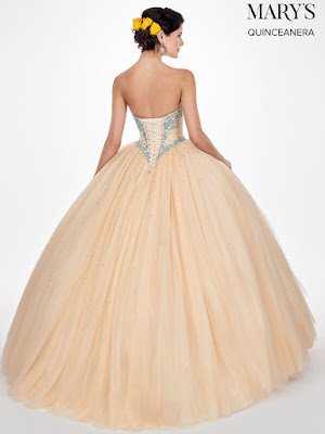 Dark Champagne/aqua Color Ball Gown Mary's Design Dress back side